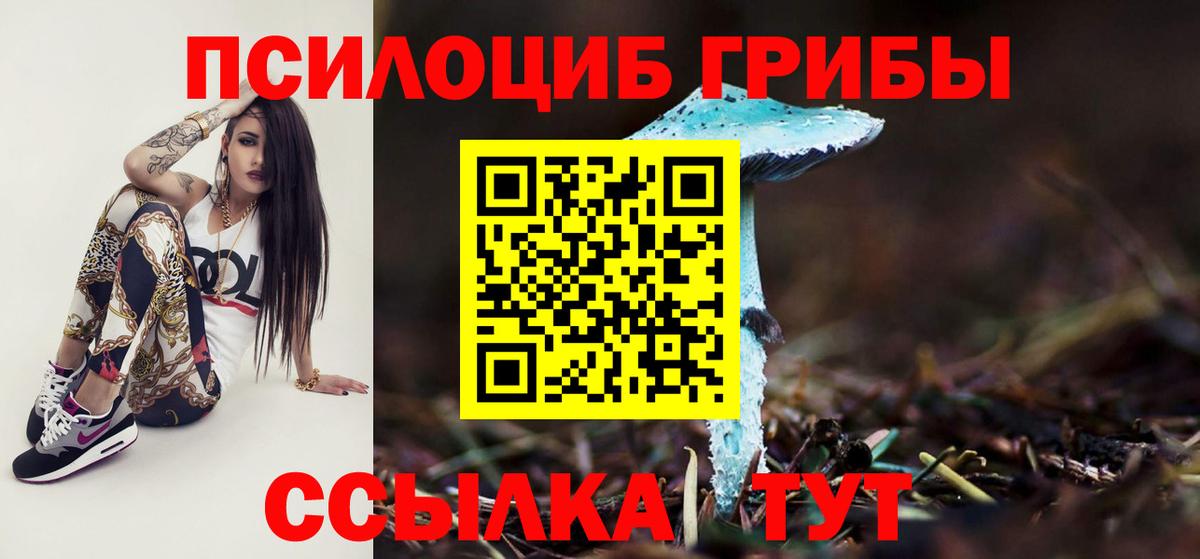 Псилоцибиновые грибы Psilocybine cubensis  Вход с VPN  Назрань 